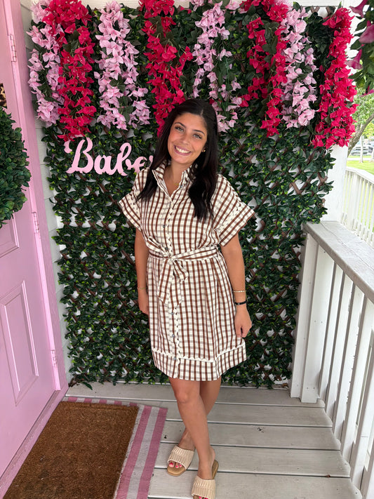 Falling For Gingham Dress