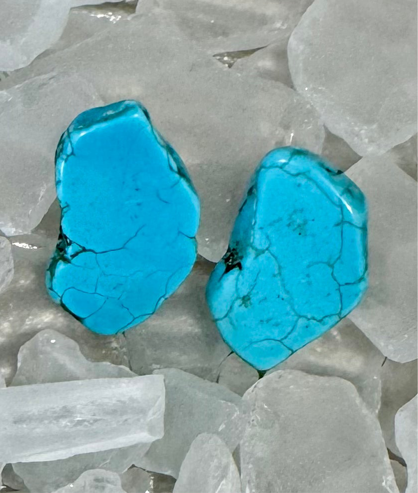 Chunky Stone Stud Earrings