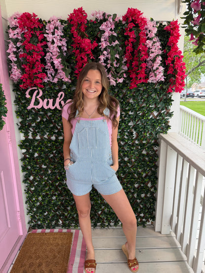 Denim Striped Overalls