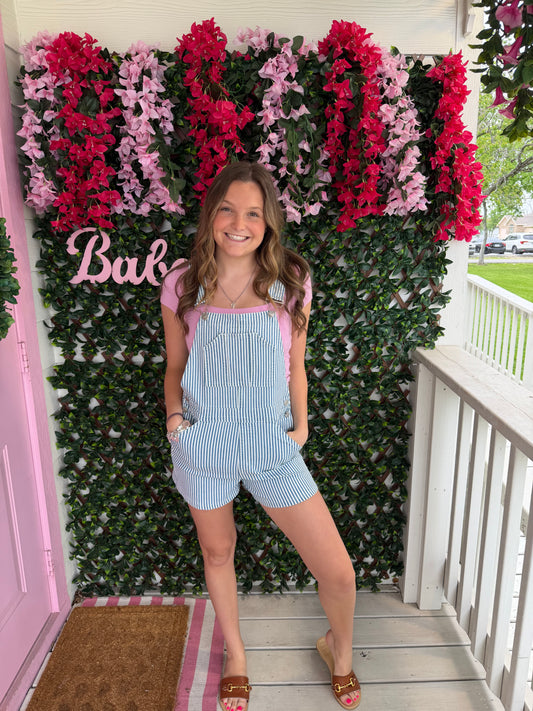 Denim Striped Overalls