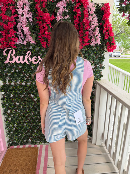 Denim Striped Overalls