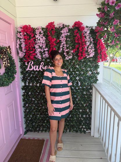Pine Street Stripe Dress