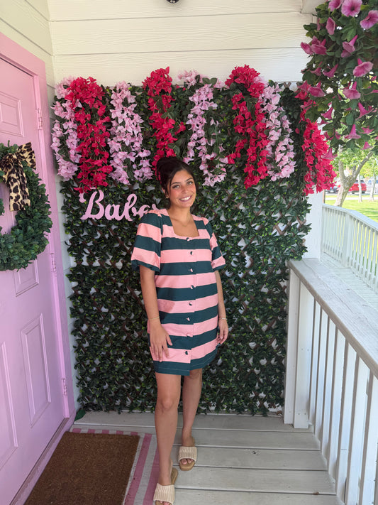 Pine Street Stripe Dress
