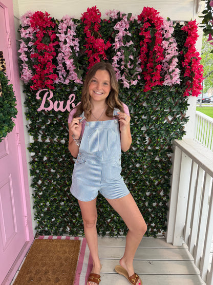 Denim Striped Overalls